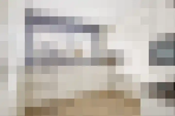 De Meent 51 Odijk thumbnail 15