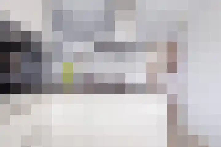 De Meent 51 Odijk thumbnail 16