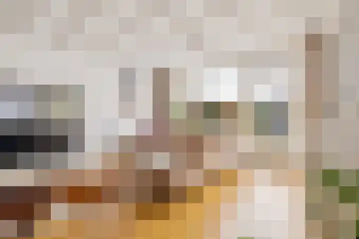 De Meent 51 Odijk thumbnail 19