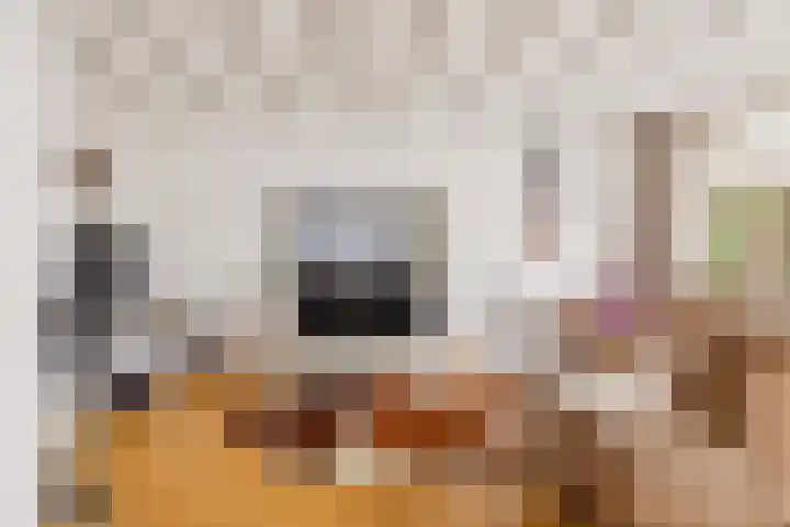 De Meent 51 Odijk thumbnail 21