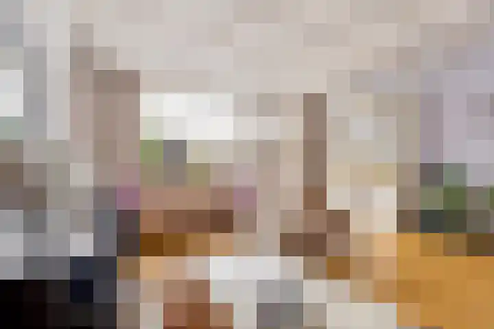 De Meent 51 Odijk thumbnail 23