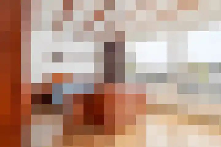 De Meent 51 Odijk thumbnail 27