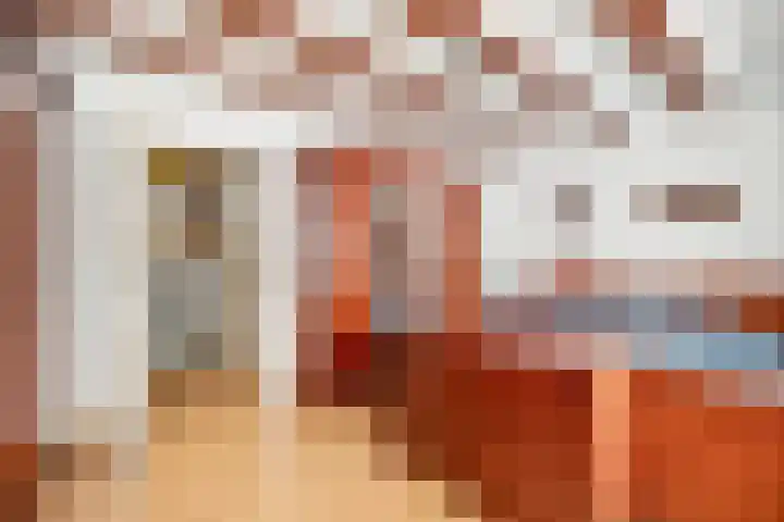 De Meent 51 Odijk thumbnail 28