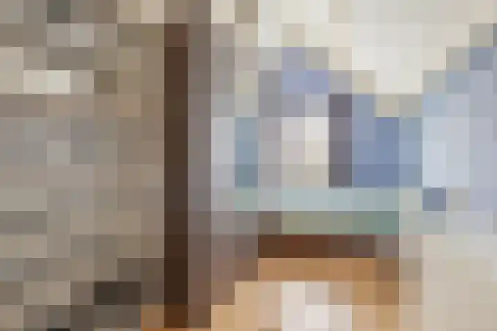 De Meent 51 Odijk thumbnail 32