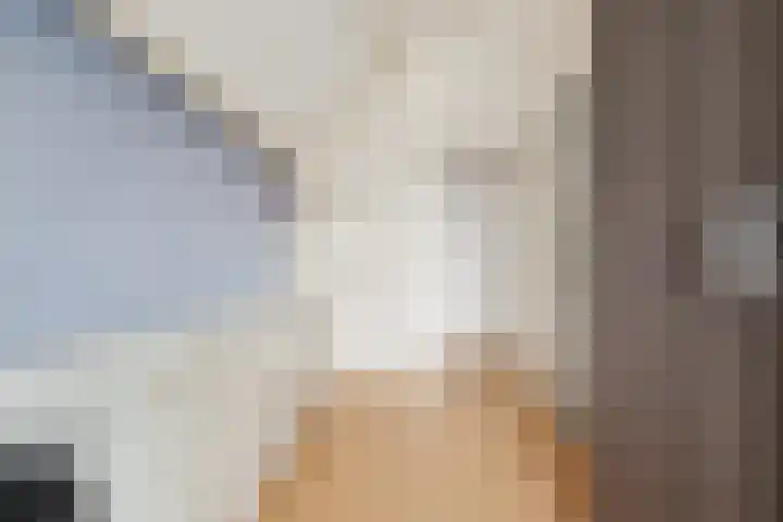 De Meent 51 Odijk thumbnail 33