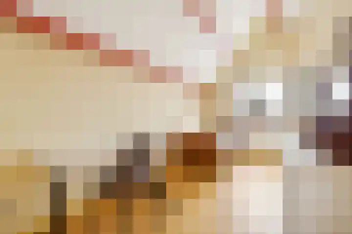 De Meent 51 Odijk thumbnail 34