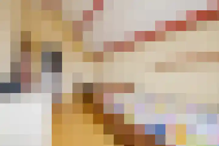 De Meent 51 Odijk thumbnail 35