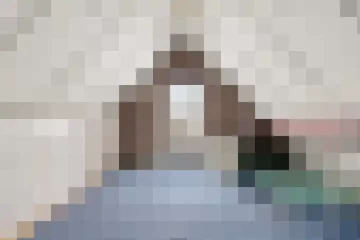 De Meent 51 Odijk thumbnail 36