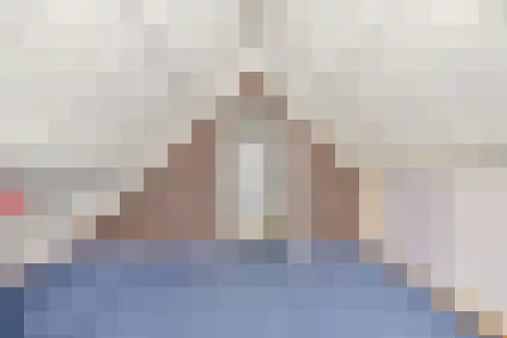 De Meent 51 Odijk thumbnail 37