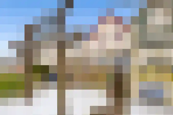 De Meent 51 Odijk thumbnail 4