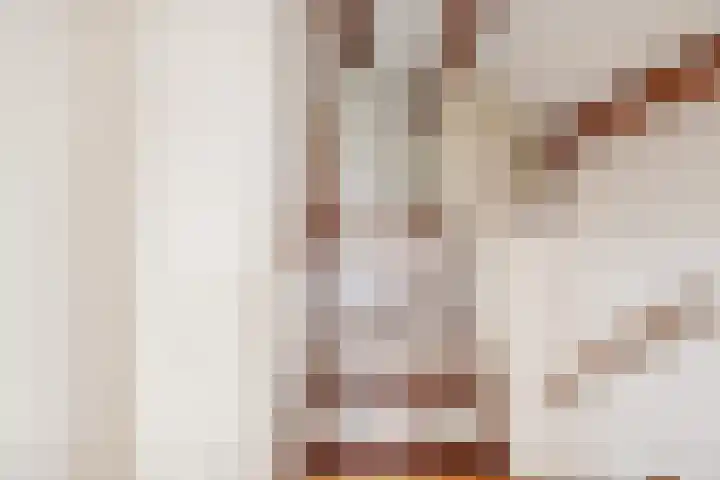De Meent 51 Odijk thumbnail 41