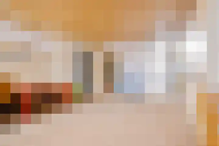 De Meent 51 Odijk thumbnail 44