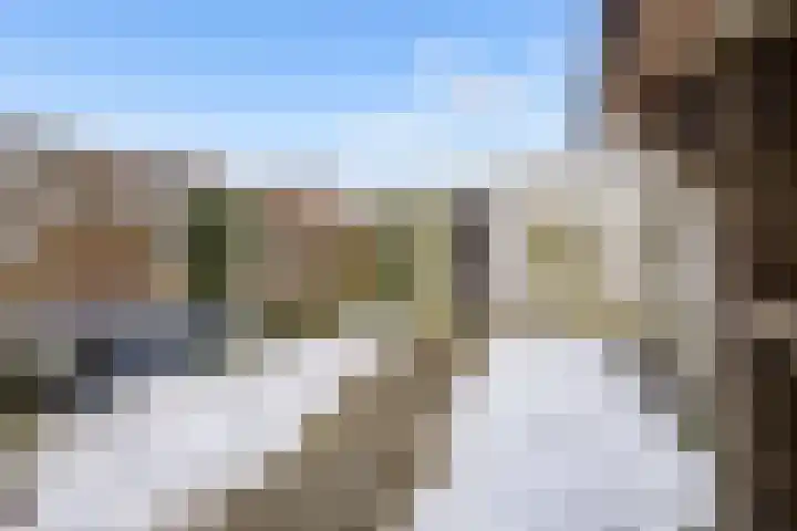 De Meent 51 Odijk thumbnail 48