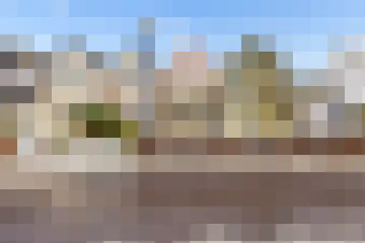 De Meent 51 Odijk thumbnail 5