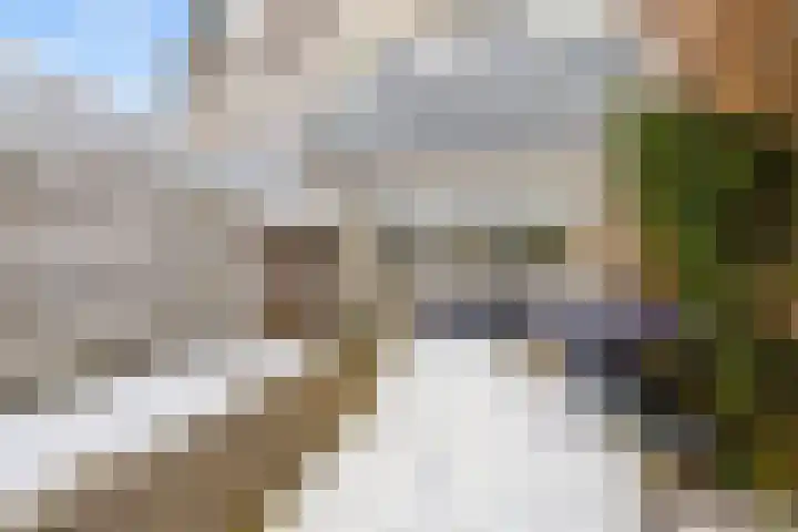 De Meent 51 Odijk thumbnail 51