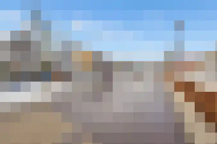 De Meent 51 Odijk thumbnail 54