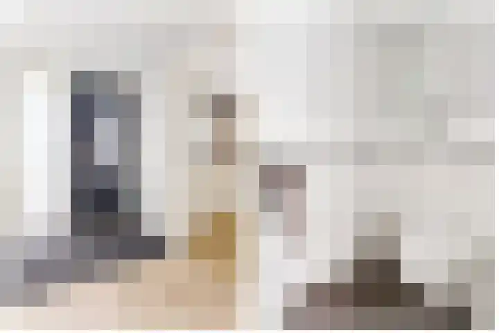 De Meent 51 Odijk thumbnail 9