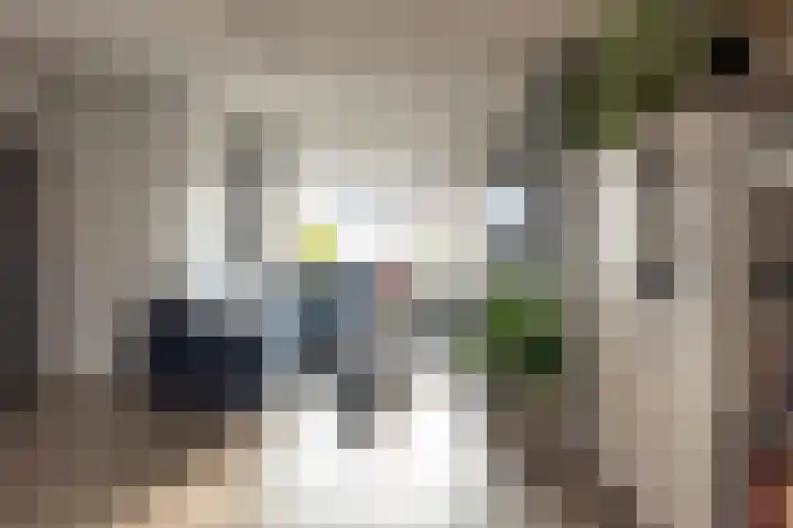 De Meent 55 Drachten thumbnail 11