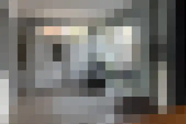De Meent 55 Drachten thumbnail 17