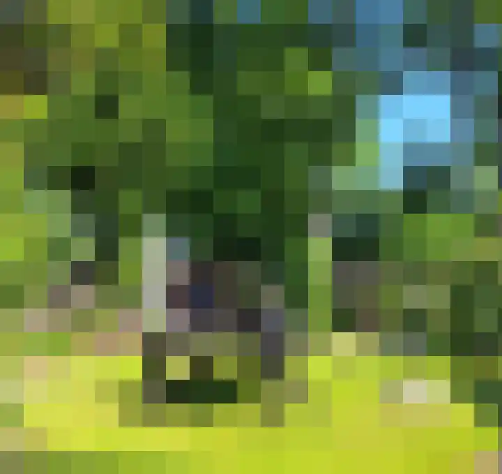 De Meent 55 Drachten thumbnail 52