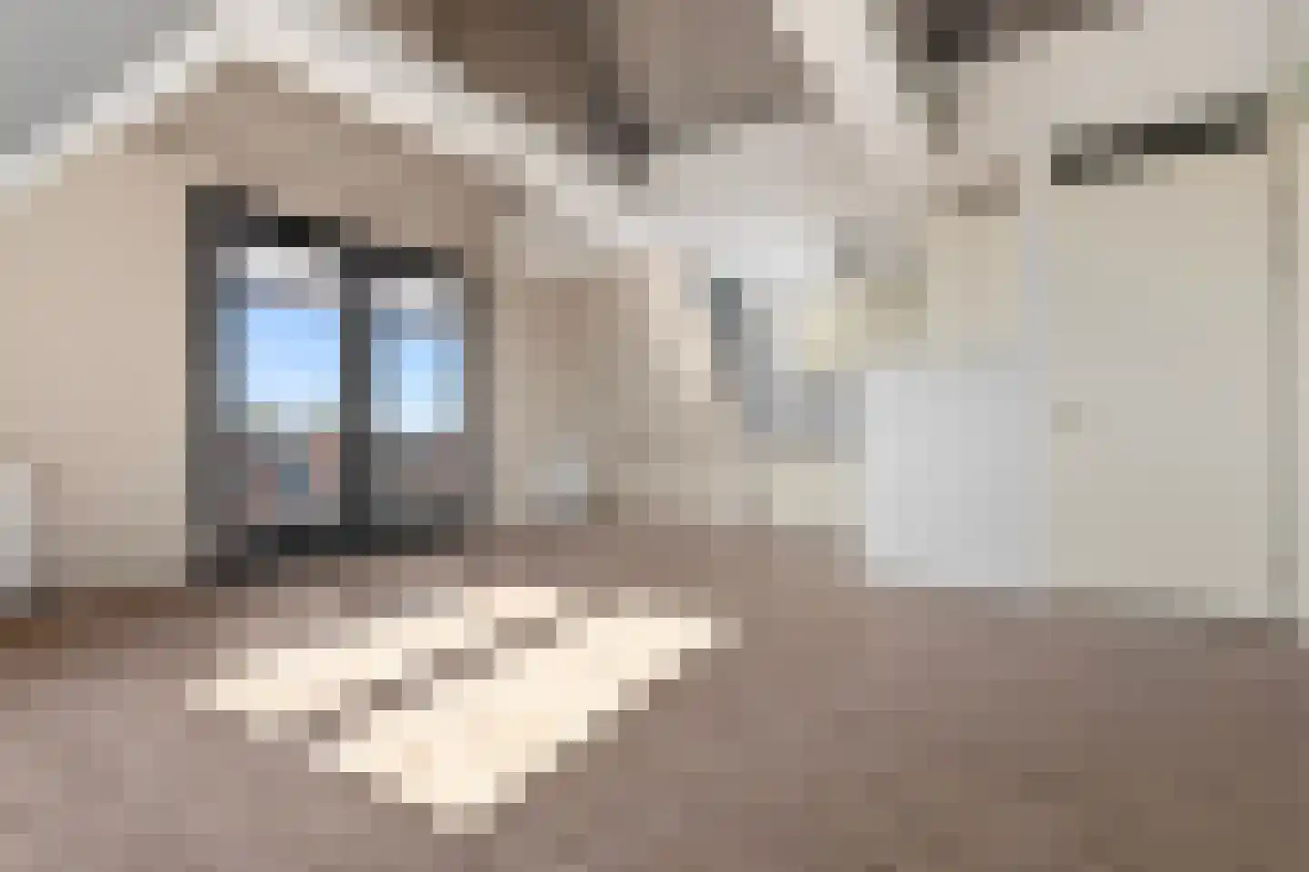 De Meent 63 Bunschoten-Spakenburg thumbnail 8