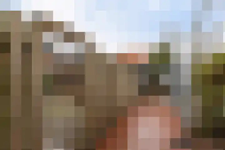 De Meent 63 Drachten thumbnail 37