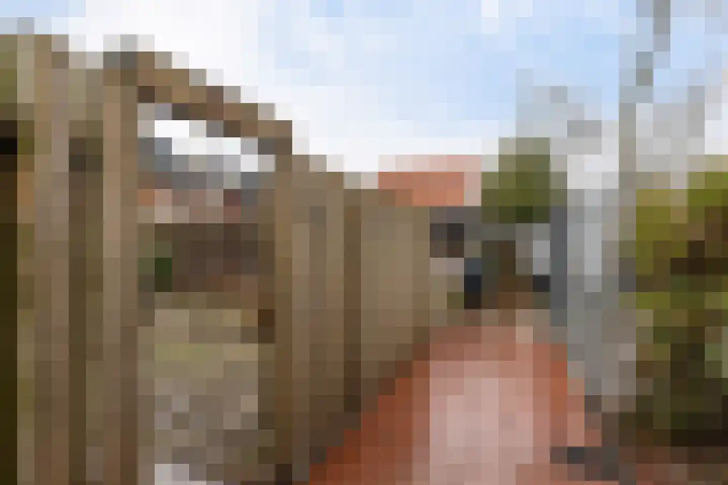 De Meent 63 Drachten thumbnail 39