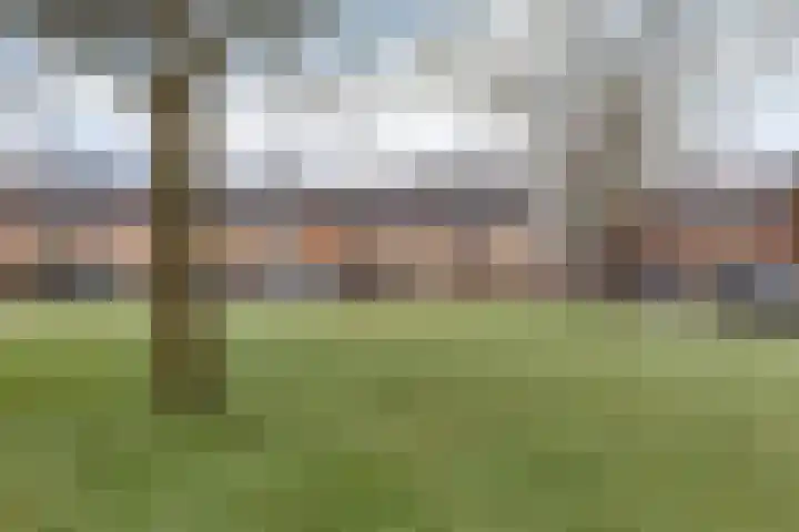 De Meent 63 Drachten thumbnail 43