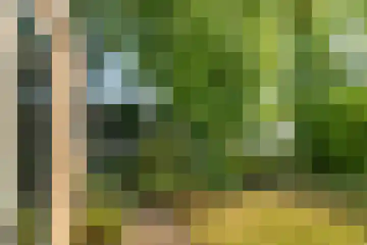 De Meente 13 Joure thumbnail 26