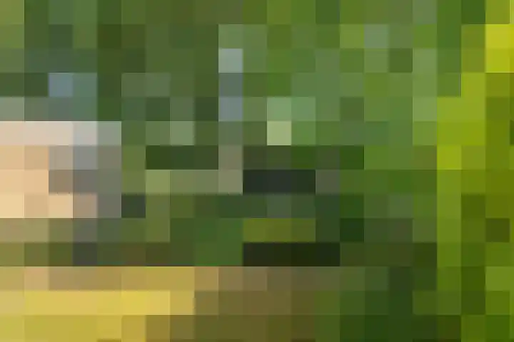 De Meente 13 Joure thumbnail 27