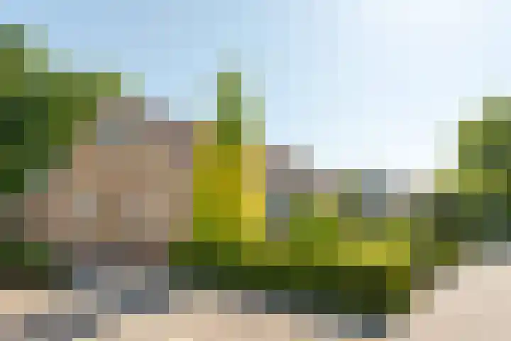 De Meente 13 Joure thumbnail 29