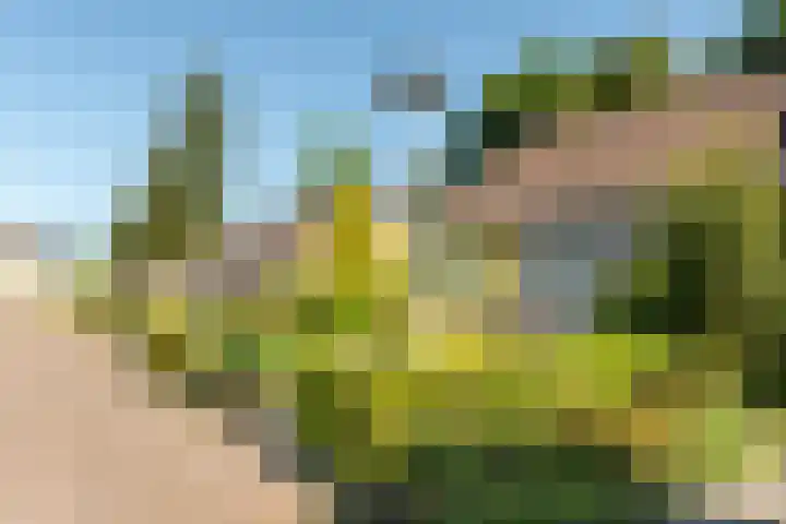 De Meente 13 Joure thumbnail 30
