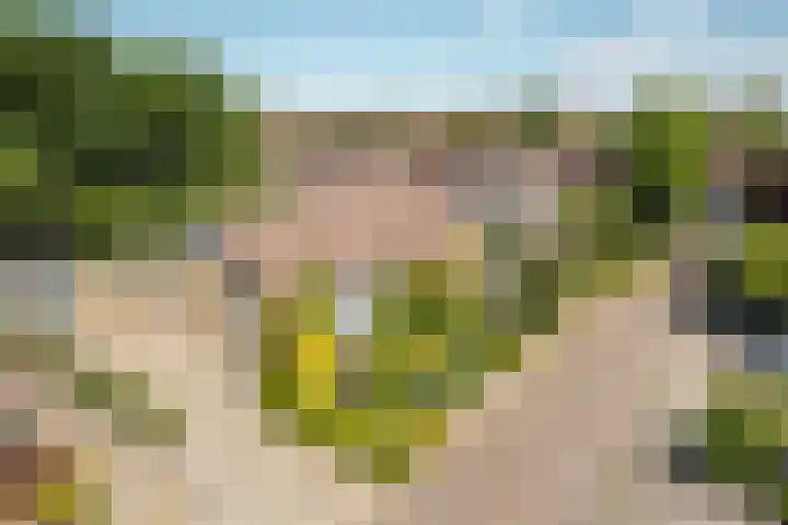 De Meente 13 Joure thumbnail 31