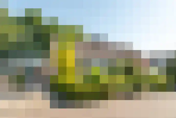 De Meente 13 Joure thumbnail 35