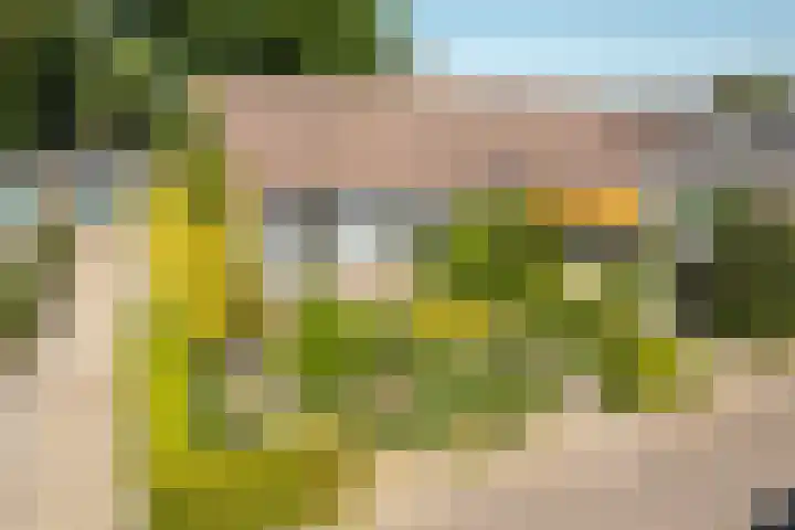 De Meente 13 Joure thumbnail 7