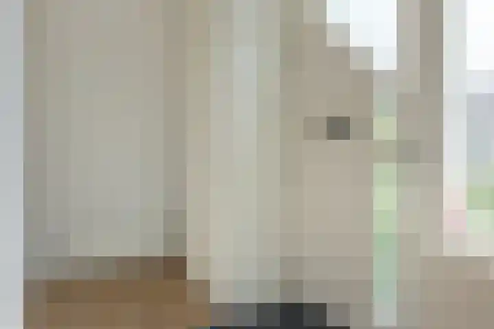 De Meente 13 Joure thumbnail 8