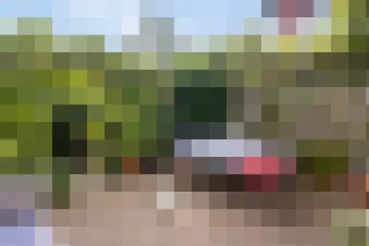 De Meente 14 Amersfoort thumbnail 44