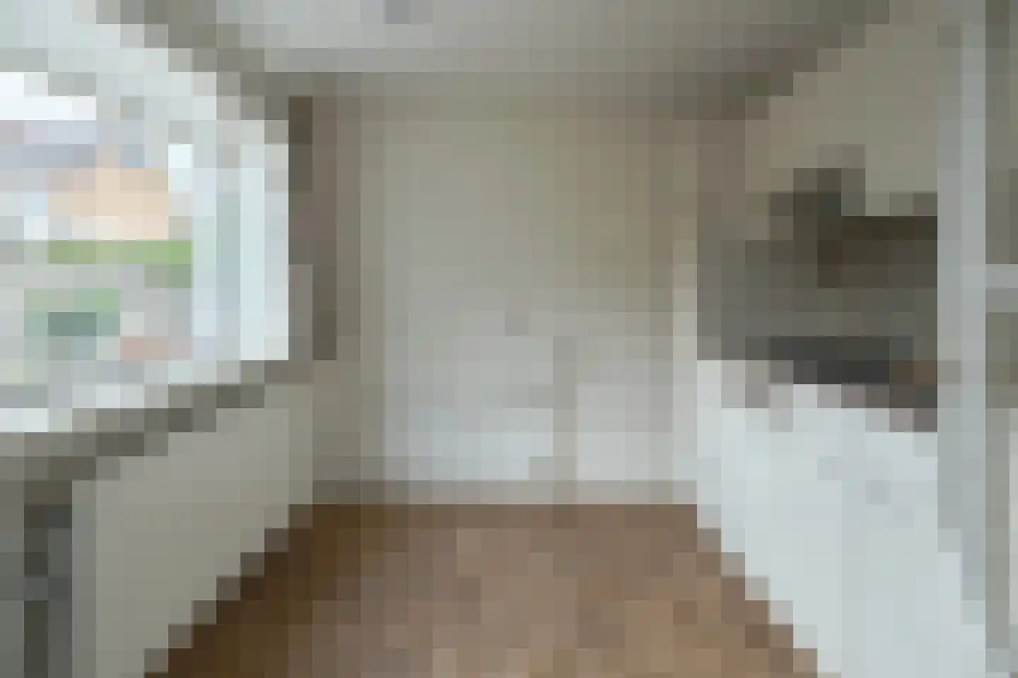 De Meente 6 Joure thumbnail 13