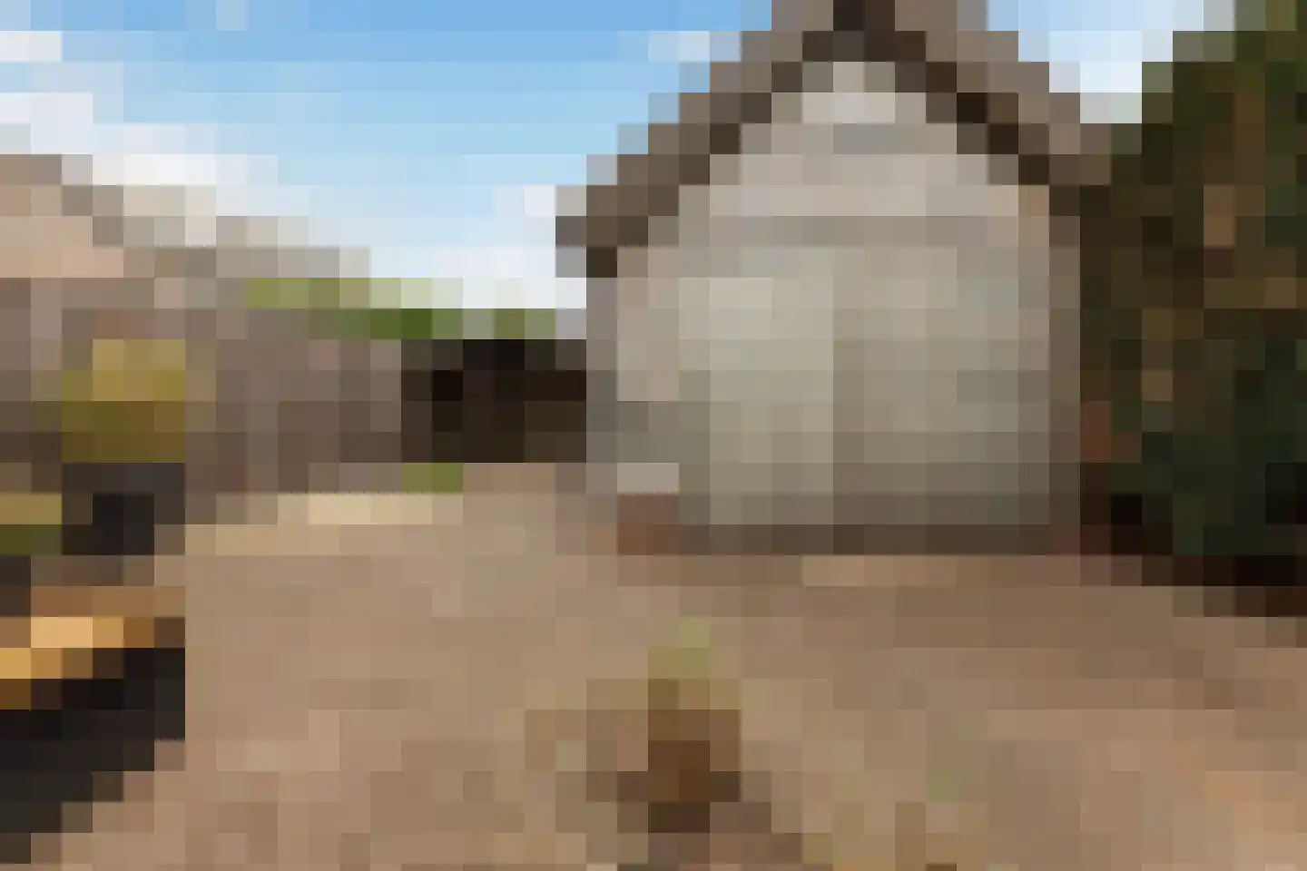 de Meenthe 16 Hattem thumbnail 24