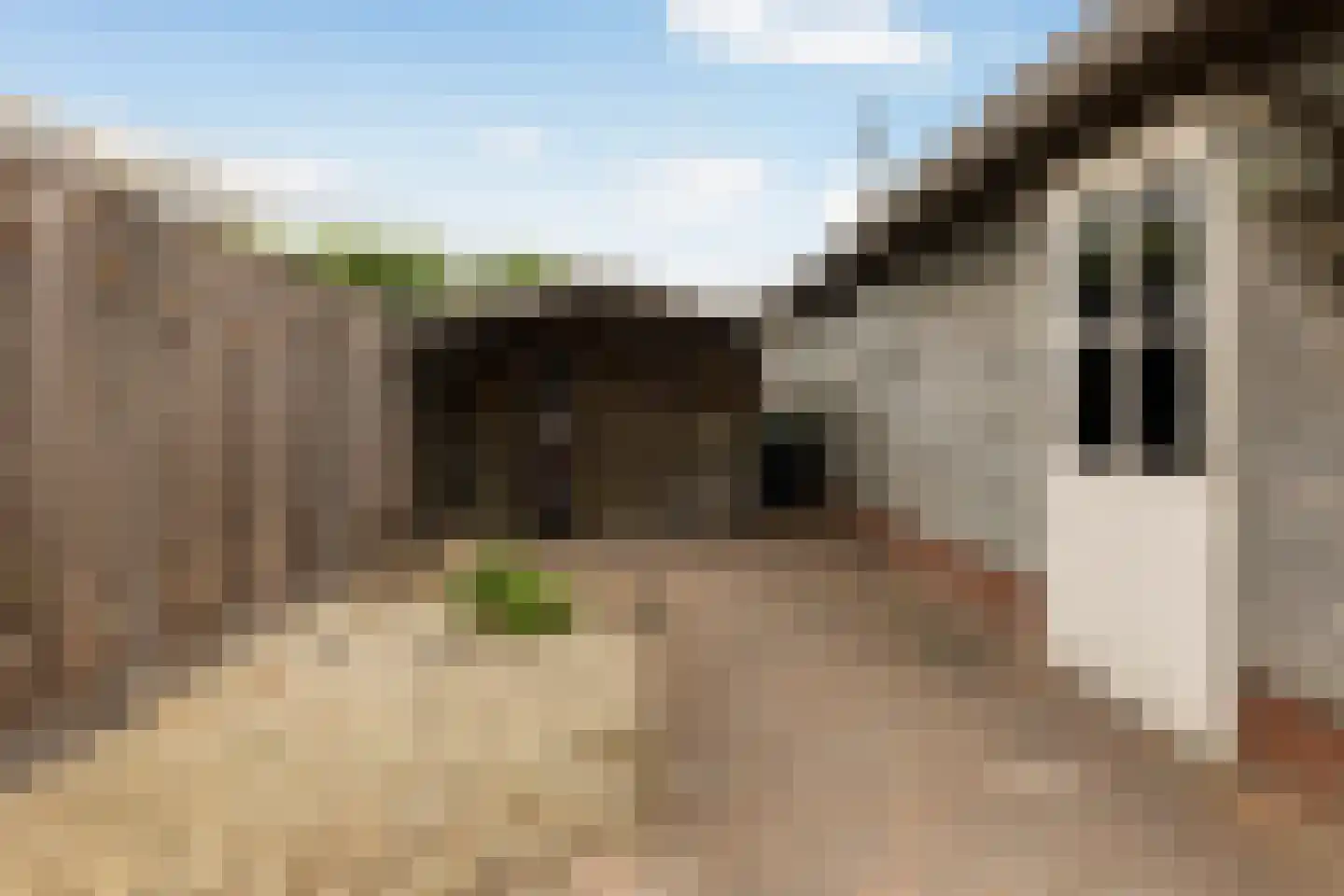 de Meenthe 16 Hattem thumbnail 26