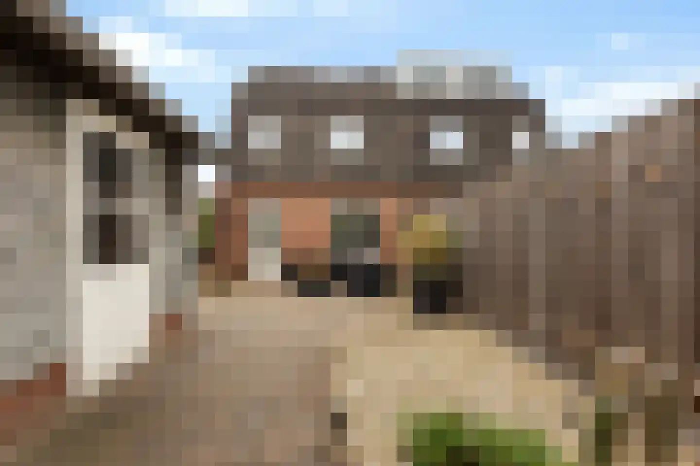 de Meenthe 16 Hattem thumbnail 27