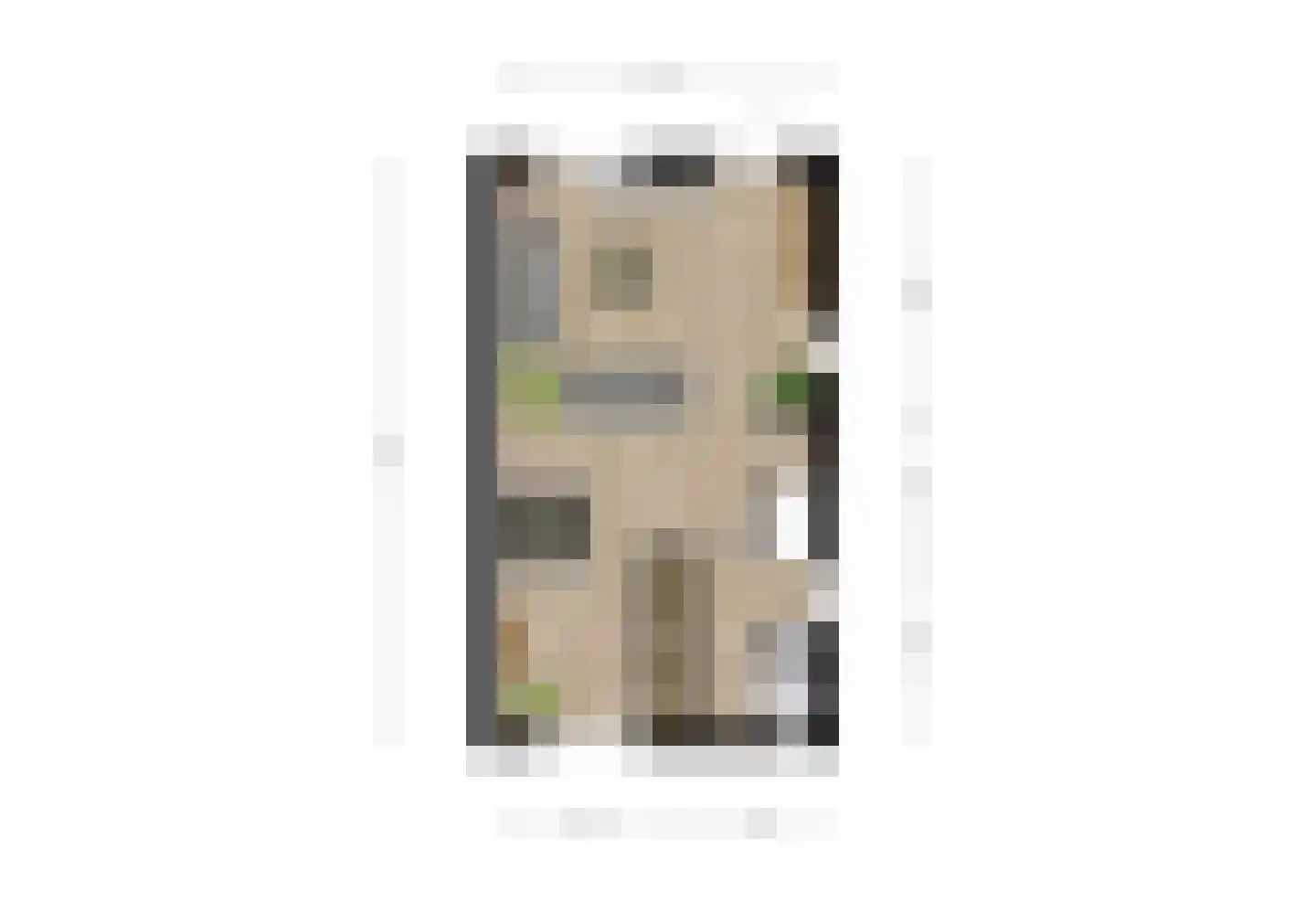de Meenthe 16 Hattem thumbnail 31