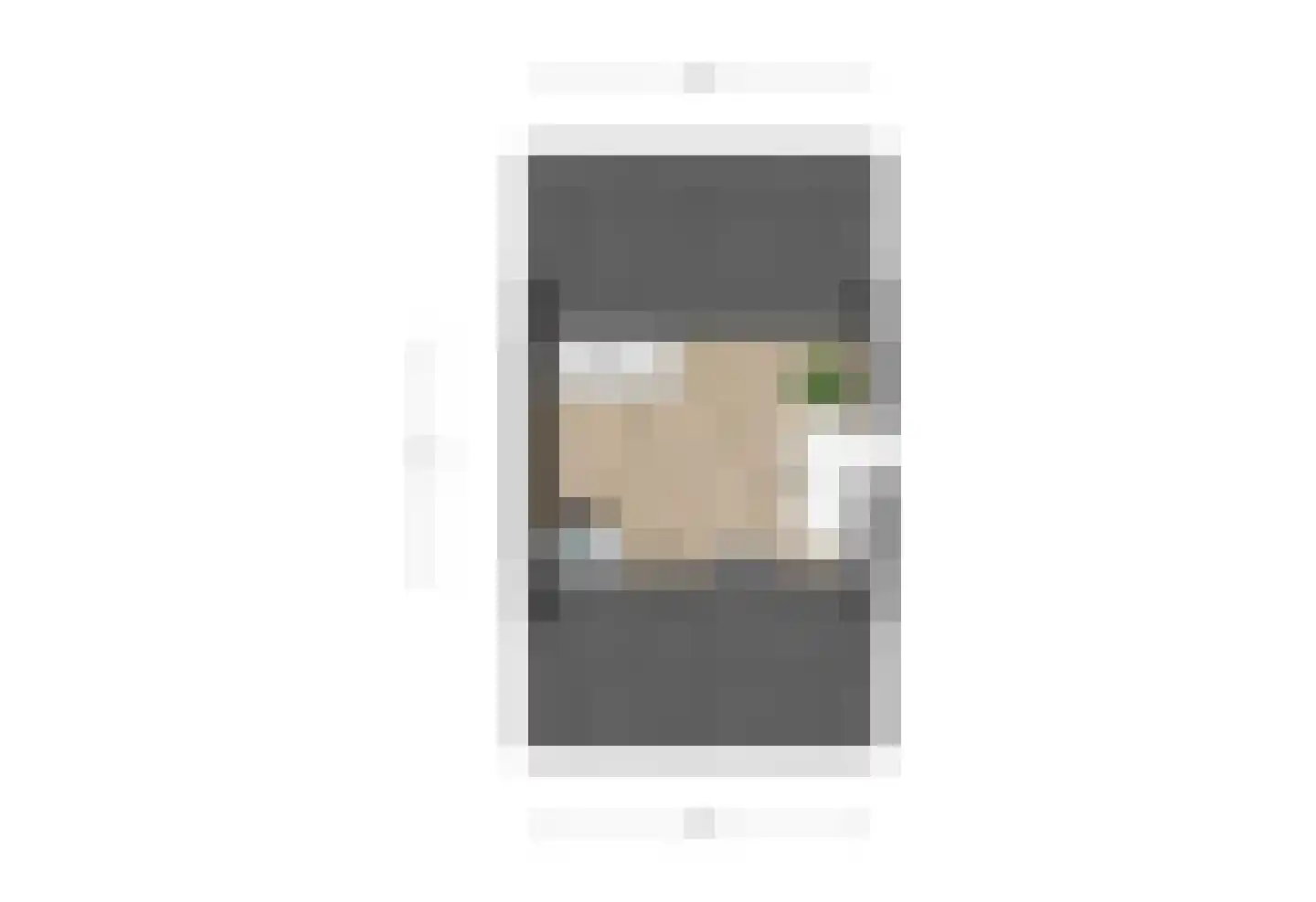 de Meenthe 16 Hattem thumbnail 33