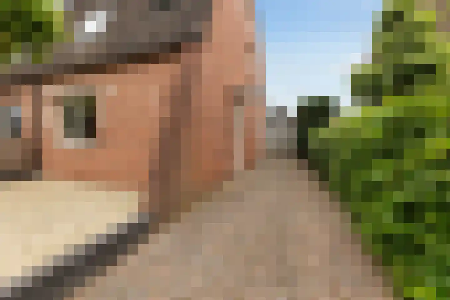 de Meenthe 16 Hattem thumbnail 6