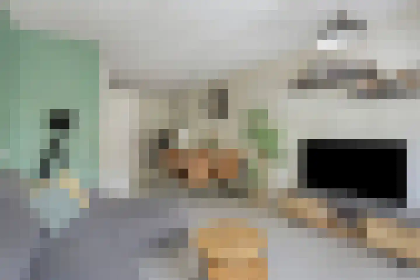 De Meer 2 Someren thumbnail 13