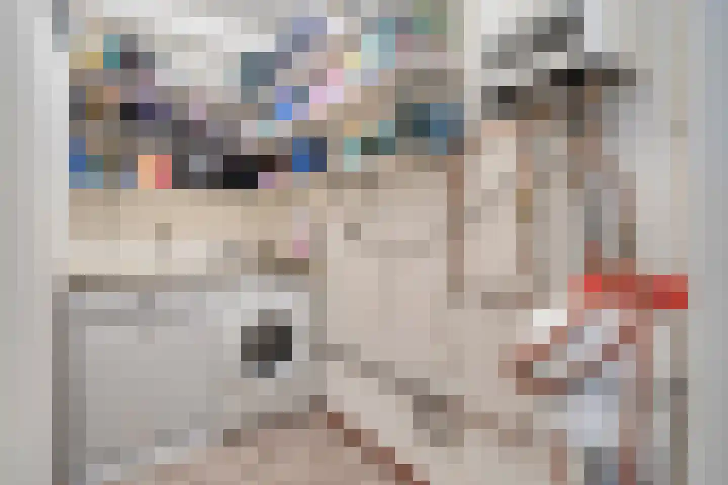 De Meer 2 Someren thumbnail 22