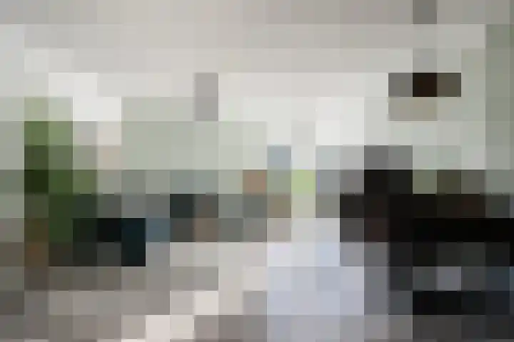 De Meer 26 Someren thumbnail 9