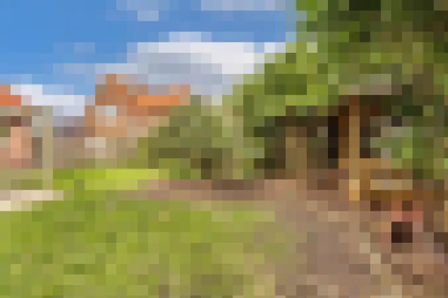 De Meer 27 Drachten thumbnail 35