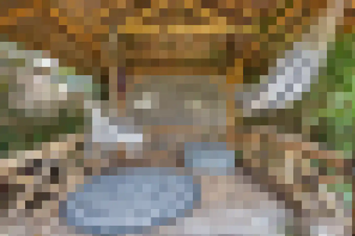 De Meer 27 Drachten thumbnail 38