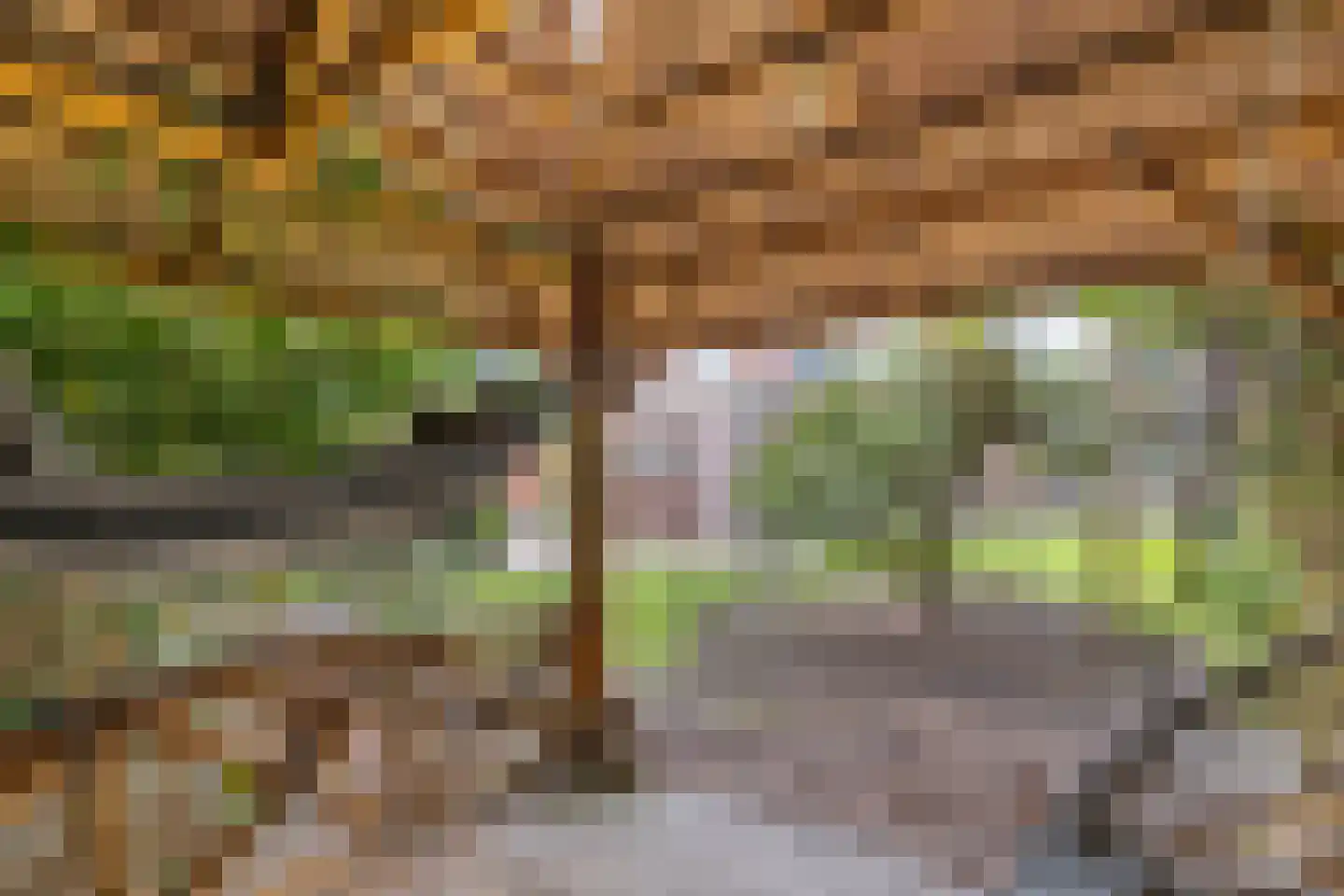 De Meer 27 Drachten thumbnail 39